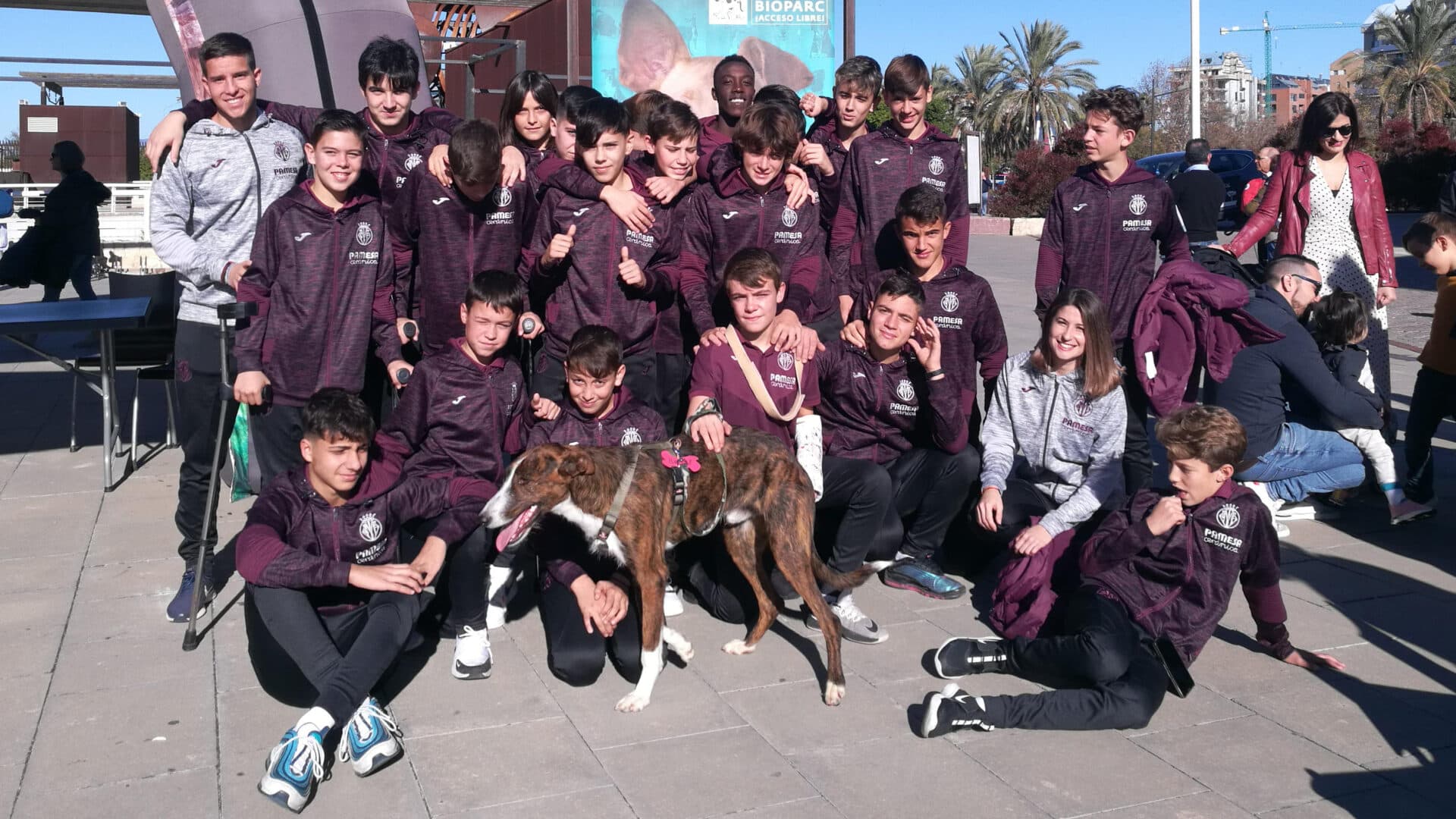 ¡Acude al desfile solidario de AUPA!