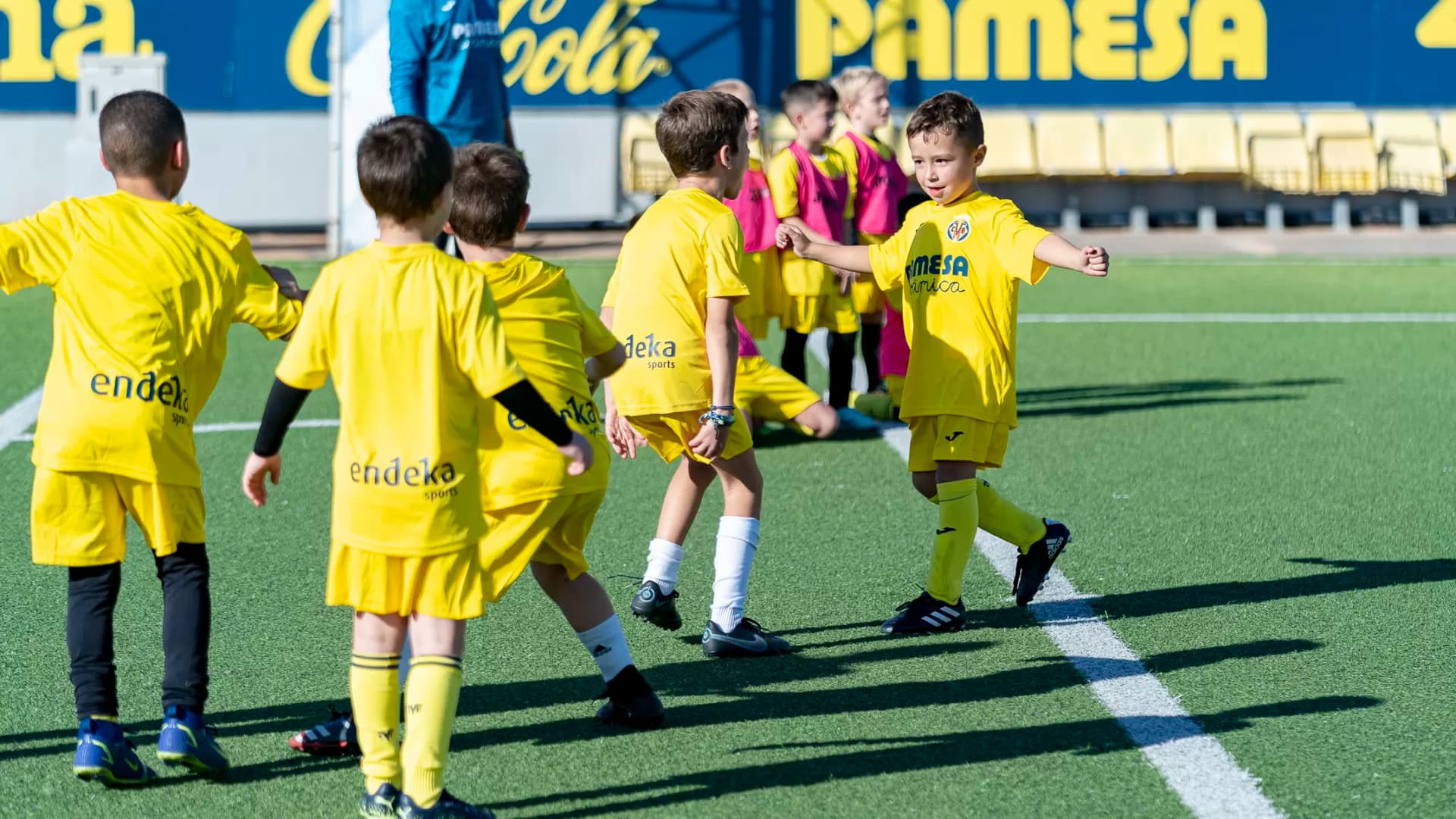 Últimes places per al curs de tecnificació!