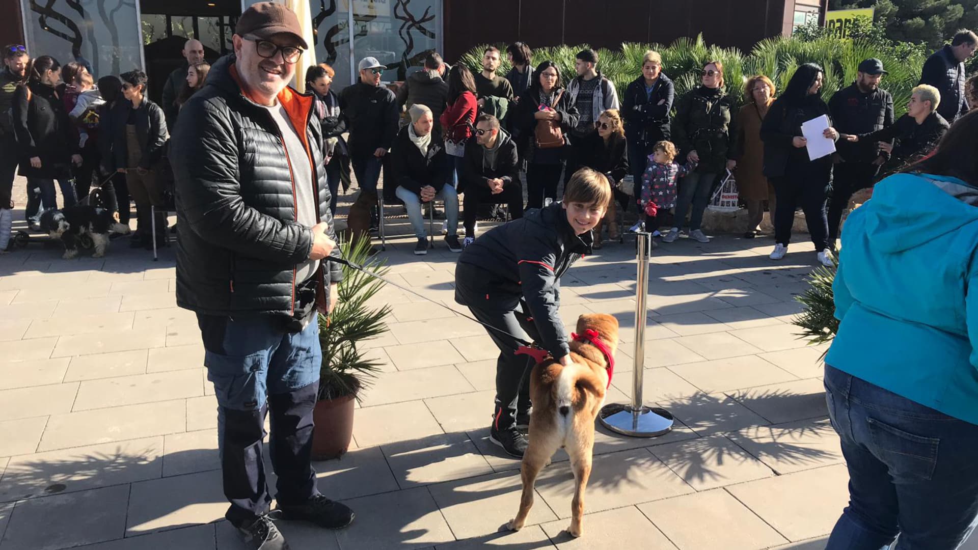 ¡Acude al Desfile de Navidad de AUPA!