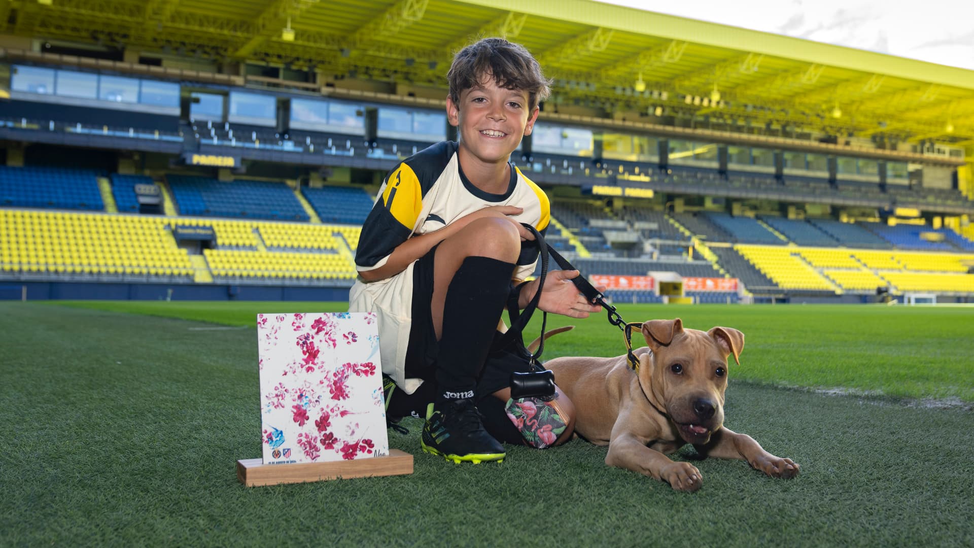 Neo té una nova llar gràcies a ‘Arte canino’