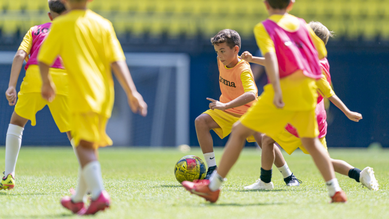 Campus del Estadio de la Ceramica